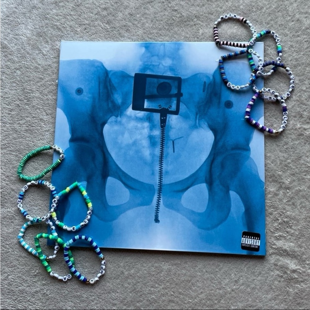 Lorde SIGNED X-Ray Picture Disk Virgin Vinyl